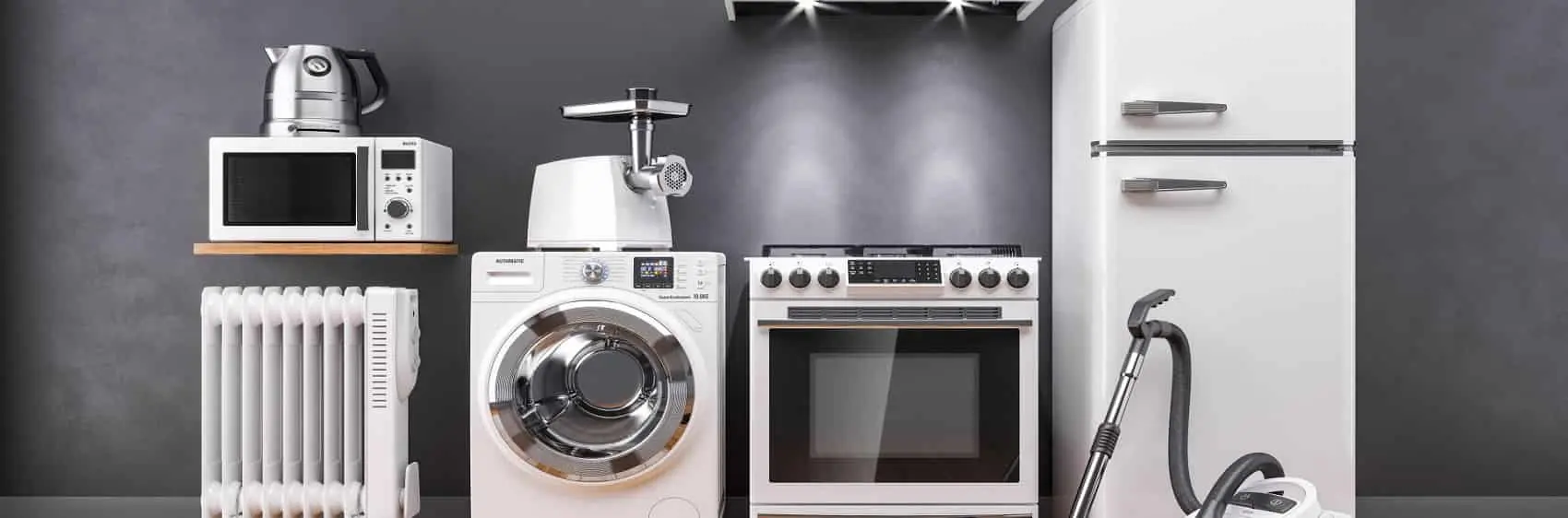 Vize Liebherr Kombi Servisi